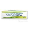 CICADERMA masť 30 g