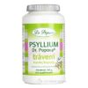 DR. POPOV PSYLLIUM TRAVENIE 1X120 KS 120 KS