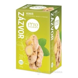 FYTO Zázvor 20x1 g (20 g)