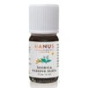 HANUS Škorica kasiová silica 10 ml