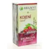 MEGAFYT Bylinková lekáreň DOJČENIE ovocný čaj 20x1