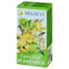 MEGAFYT Čajová zmes pri prechladnutí 20x1