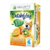 MEGAFYT Detský čaj BIO POMARANČ ovocný čaj (od ukončeného 6. mesiaca) 20x2 g (40 g)