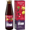 Rabenhorst Eisenblut plus šťava 450 ml