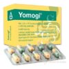 Yomogi kapsule 250 mg 20 ks