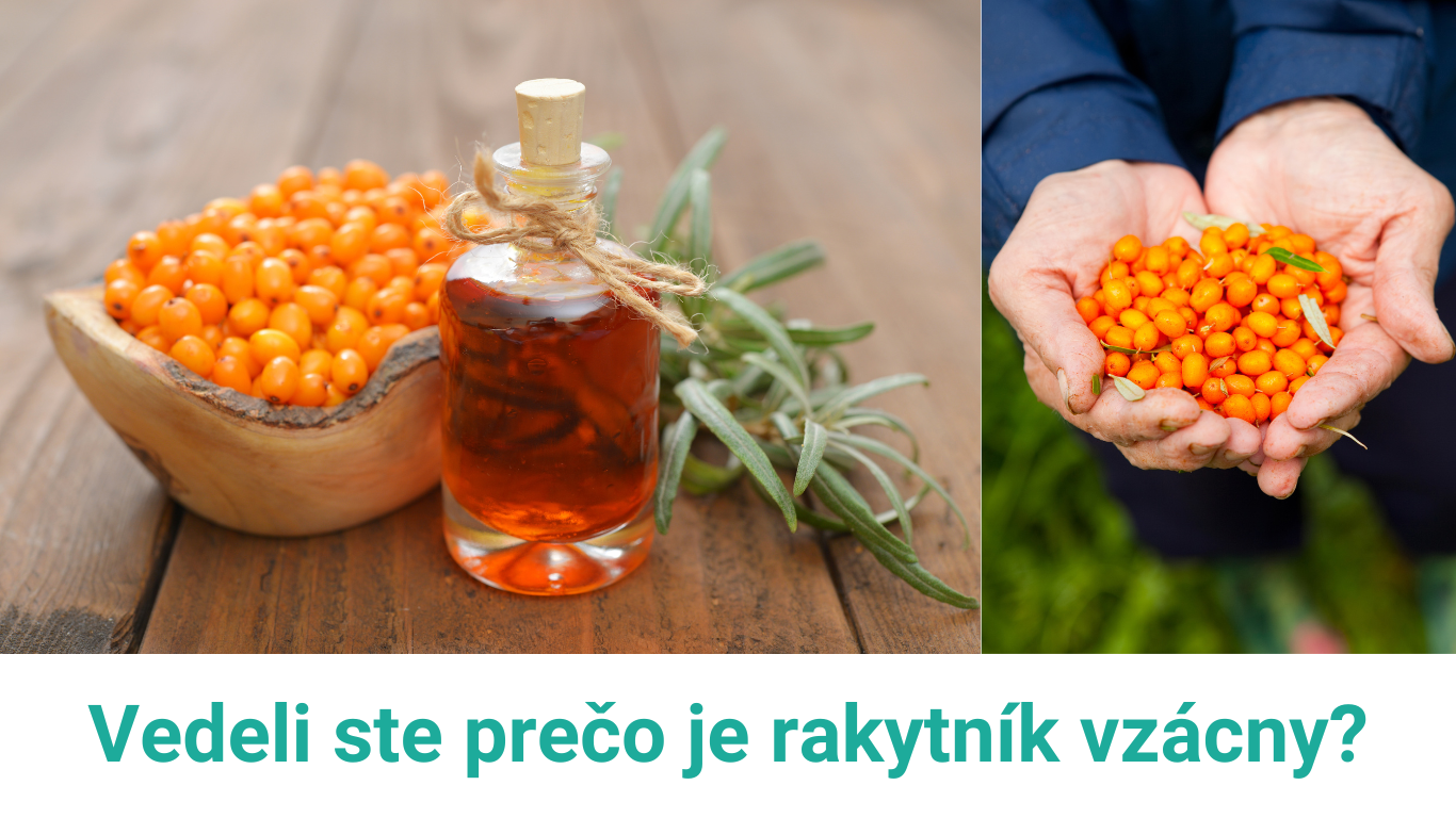 rakytník